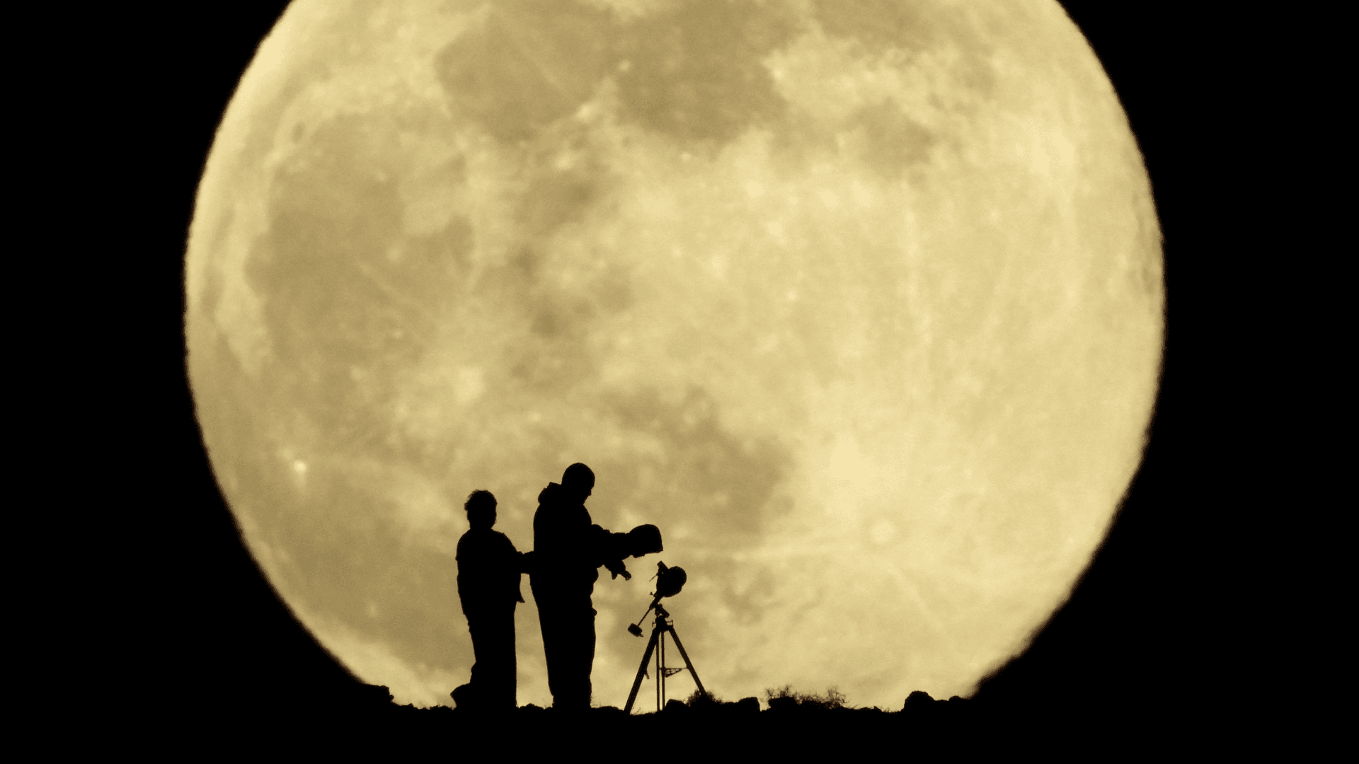 Estas Son las Estrellas que Podrás Ver Este Fin de Semana en el Cielo de México