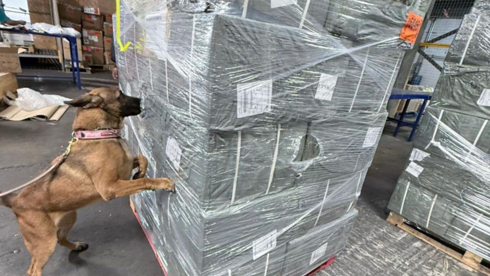 Marina y ANAM Aseguran 4.17 Toneladas de Cigarrillos Apócrifos en AICM