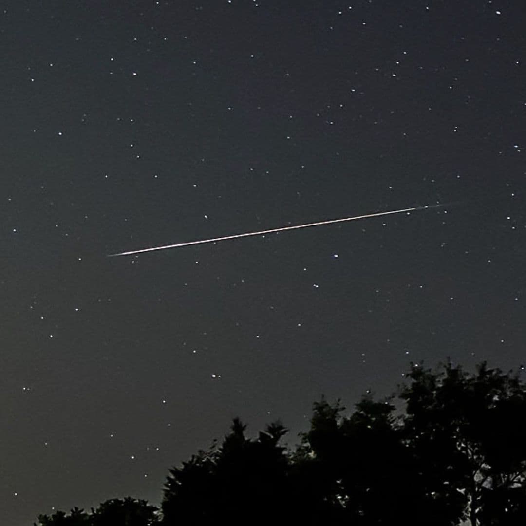 ¿Qué Hacer Si Ves Caer un Meteorito? Te Explicamos Por Qué Podrías Descubrir Vida en una Roca