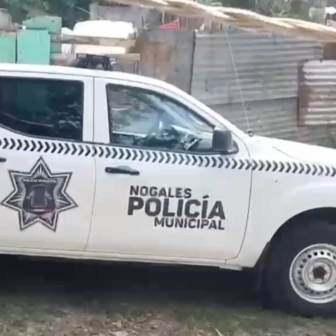 Mujer es Hallada Muerta y Huellas de Violencia en Terreno Baldío en Veracruz