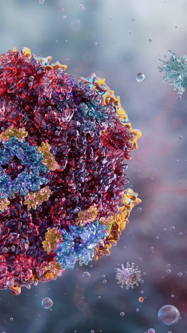 Ilustración de un norovirus
