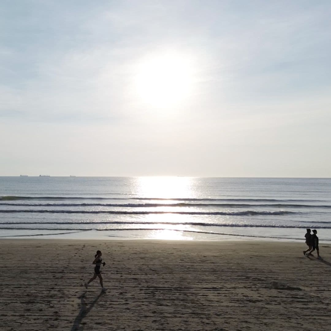 COFEPRIS: Estas Playas de Veracruz NO son Aptas para Uso Recreativo en Vacaciones de Verano 2026