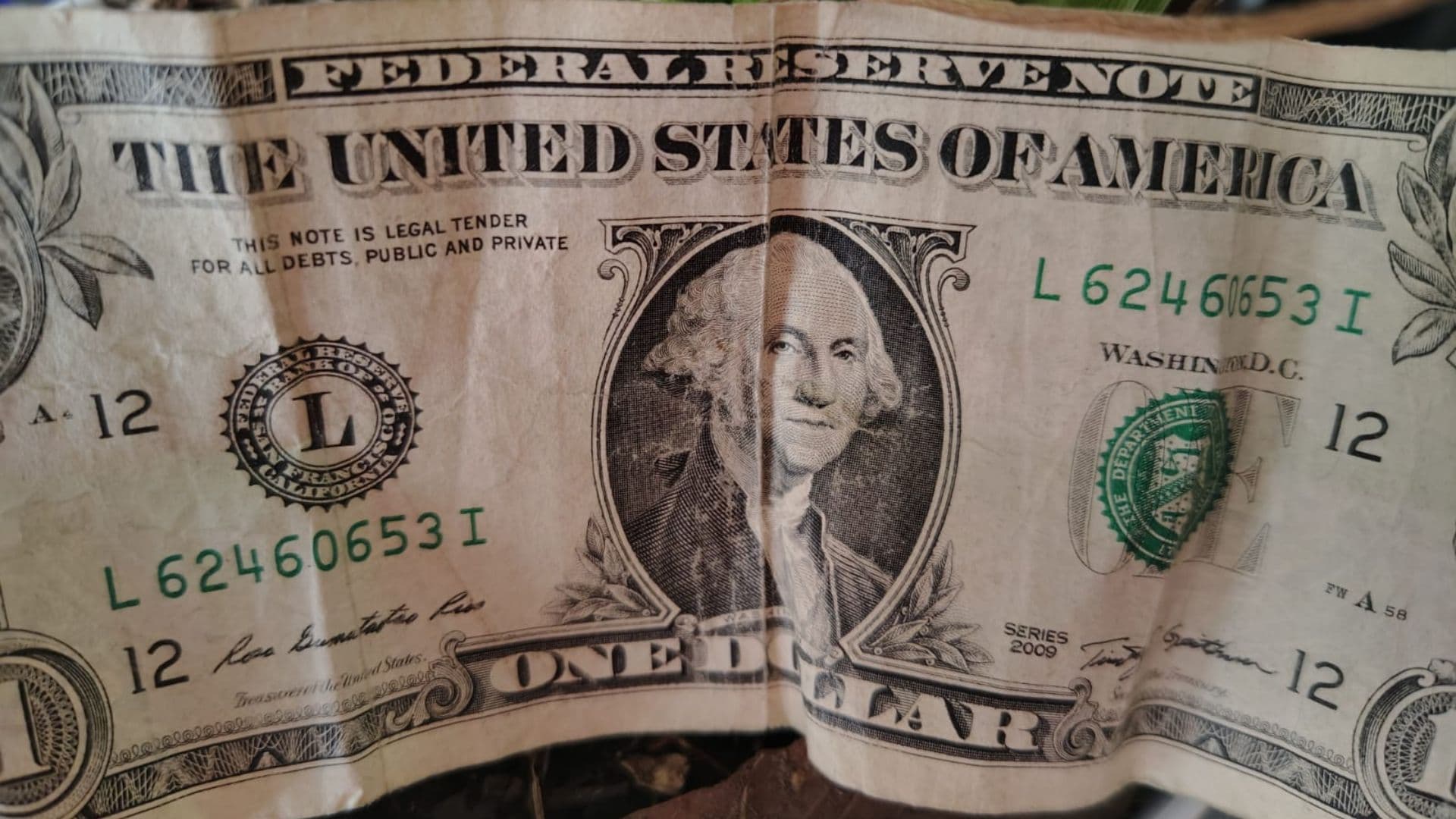 billetes de un dólar