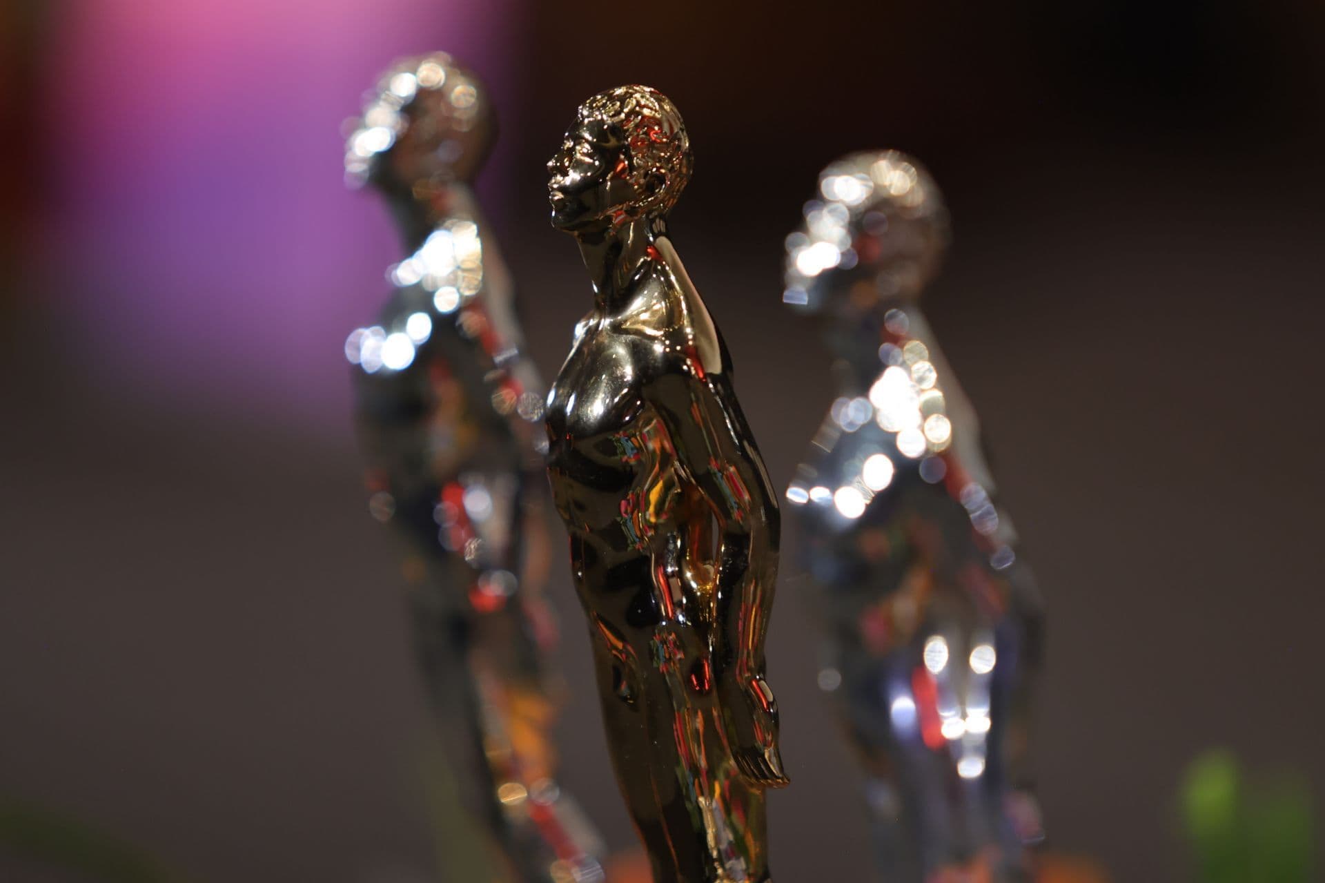 Premios Ariel 2026: "En el Camino" Abre la Noche con Dos Galardones en la 68.ª Entrega