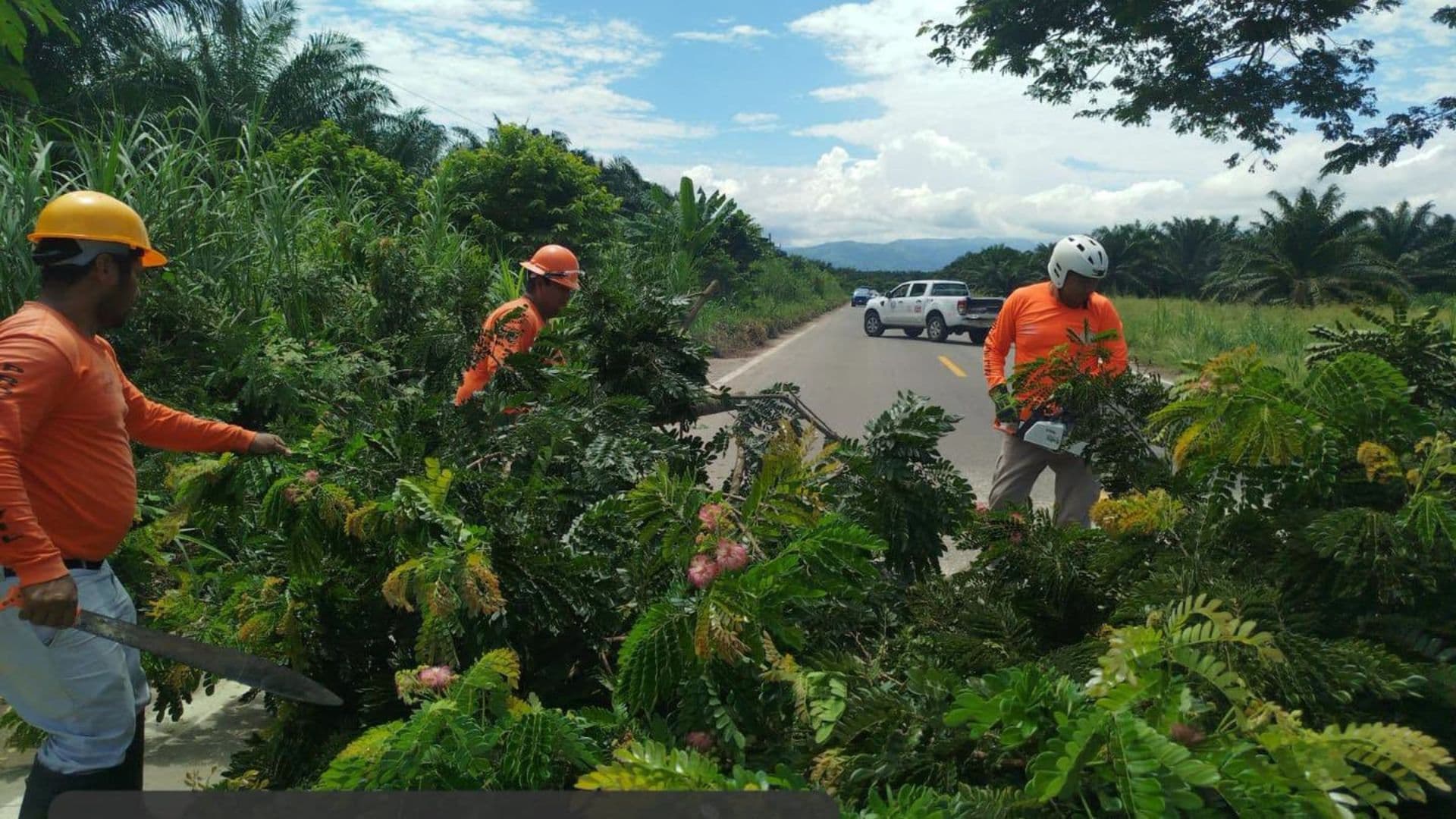 Huracán Polo Dejará Lluvias Intensas, Oleaje y Vientos en BCS, Sinaloa y Nayarit