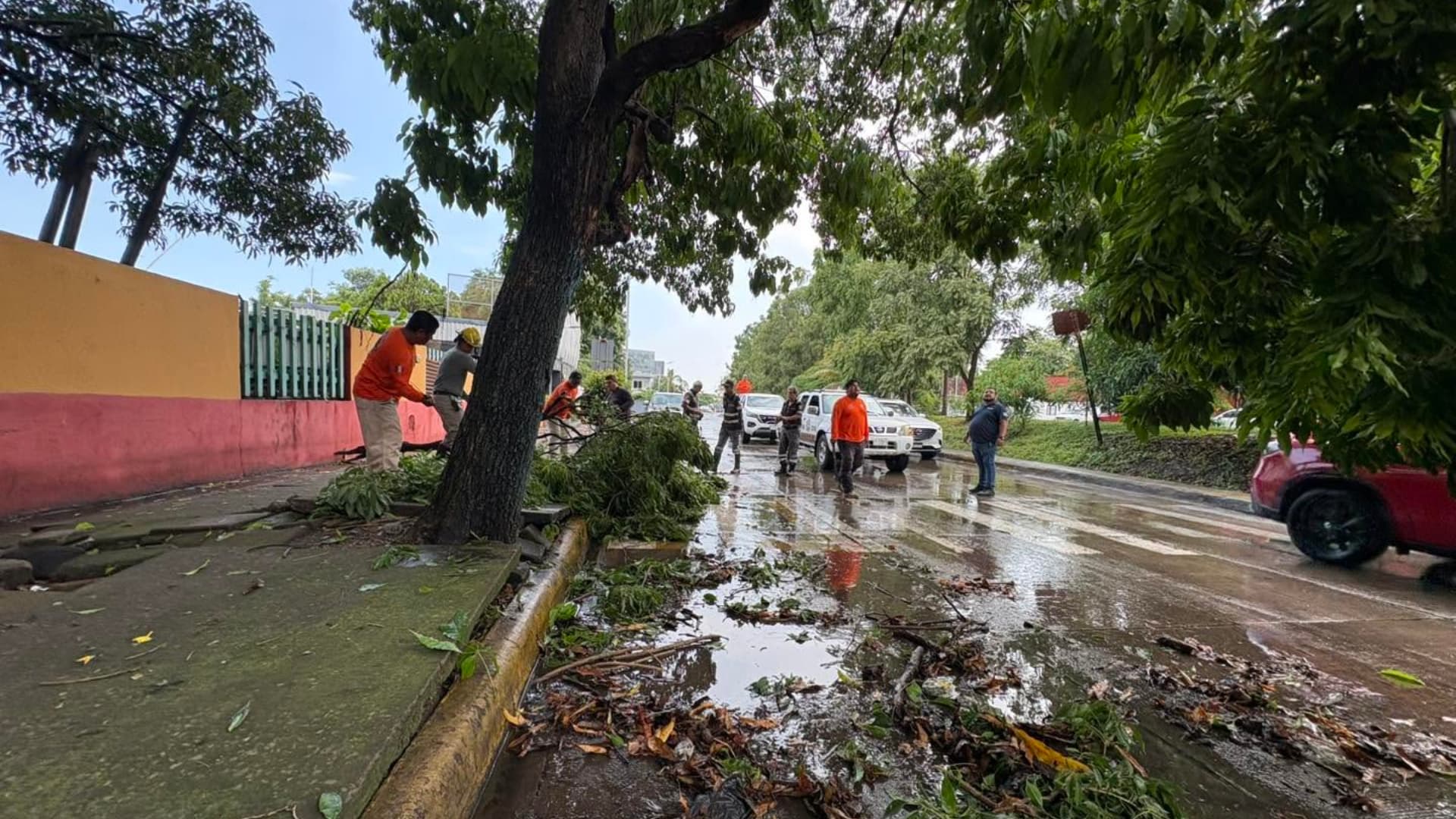 Así Estará el Clima en México Este Sábado 14 de Agosto: Lluvias, Descargas Eléctricas y Viento