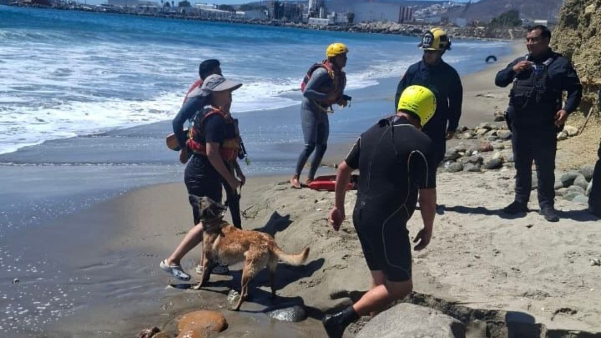 Rescatan a Mujer y su Perro Atrapados en Playa Stacks de Ensenada, Baja California