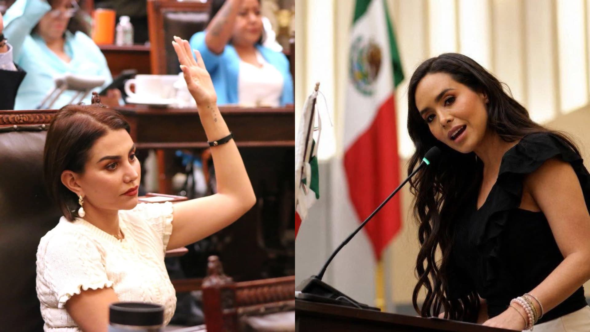 La CNHJ de Morena Ordena Suspensión de Diputadas Nayeli Salvatori y Graciela Palomares