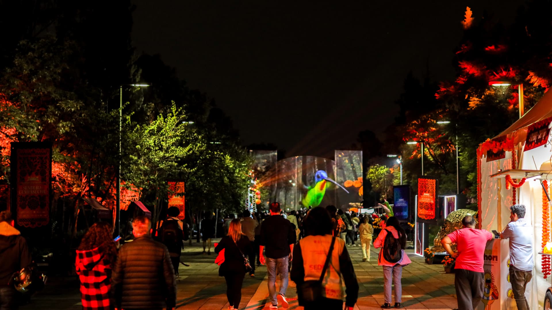 Sendero del Cempasúchil en el Bosque de Chapultepec por Día de Muertos 2026