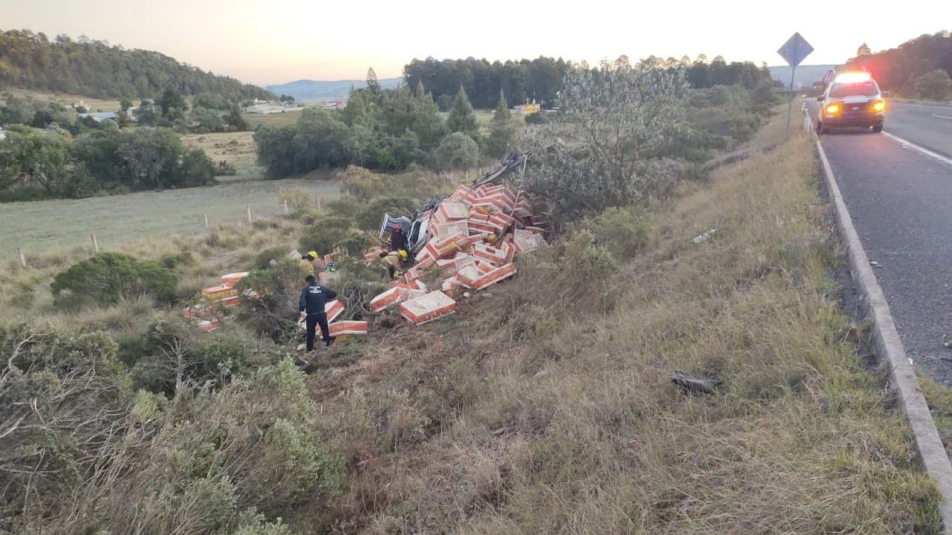 Vuelca Camión tras Chocar contra un Árbol en Autopista de Puebla; Hay un Muerto