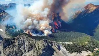 Incendios Forestales en Estados Unidos