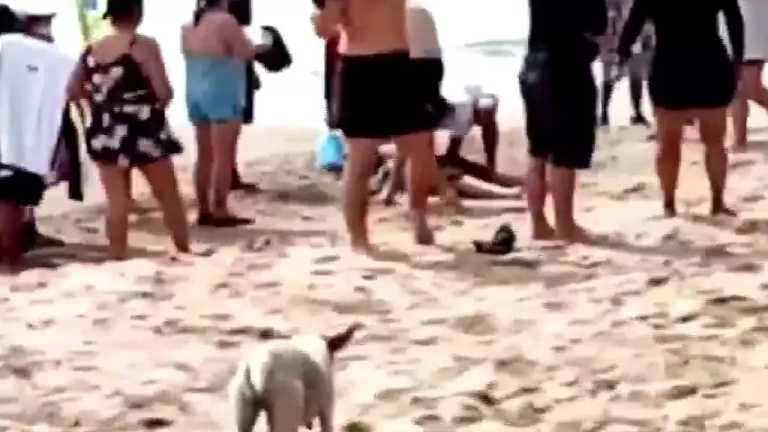 En el parque acuático de Melaque, en Jalisco, autoridades de Protección Civil acudieron a rescatar a turista que tenía una mordida en la pierna, presuntamente de tiburón; por la herida, la mujer murió