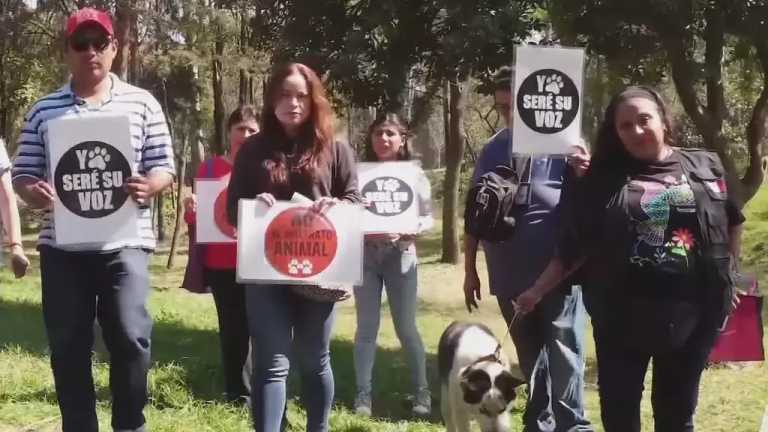 Vecinos de Xochimilco advierten que son más de 20 los perros muertos encontrados en el bosque de Nativitas, en CDMX; hay dos carpetas de investigación abiertas por estos actos de crueldad, al momento no hay detenidos ni avances en los peritajes