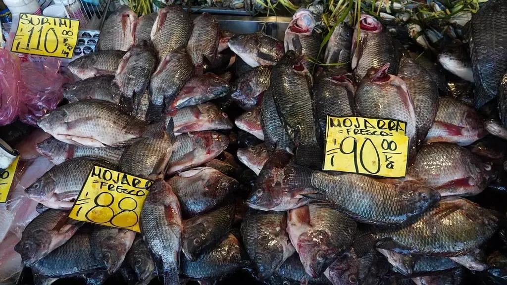 Foto: ¿Cuánto Cuesta el Pescado y Marisco en Cuaresma?