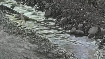 Contaminación y Malos Olores Afectan al Río Santa Catarina en Nuevo León
