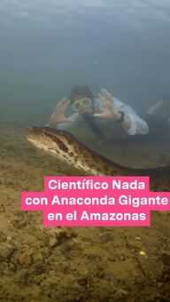 Captan a la Anaconda Más Grande del Mundo
