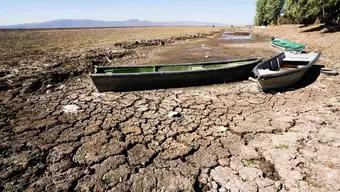 Foto: México Muere de Sed por Sequía: Así Afecta la Falta de Agua en el País