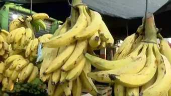 Precio del Plátano Macho y Roatán