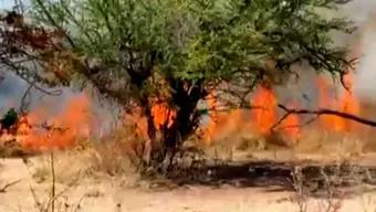 Foto: Vecinos Luchan por Apagar un Incendio de Pastizales en Iguala, Guerrero