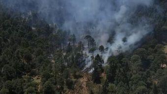 Incendio Forestal en Jilotzingo
