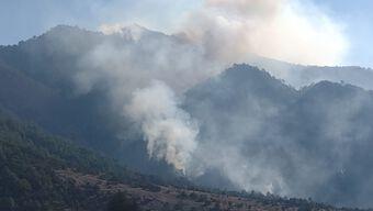 Fuerte Incendio Forestal en la Sierra Norte de Puebla