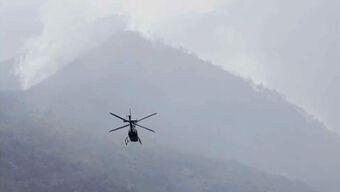 Reportan Más de 2,100 Hectáreas Afectadas por Incendios Forestales en Altas Montañas, Veracruz