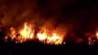 Foto: Reduce Tiempos de Respuesta en Combate de Incendios Forestales en la CDMX