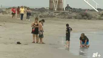 turistas en playas de Veracruz 