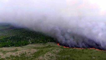 Foto: Incendios Forestales en México; en Yucatán se Intensifican