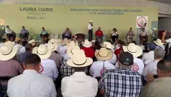 Elecciones a la gubernatura Jalisco 2024: Laura Haro Actividades 17 de Abril