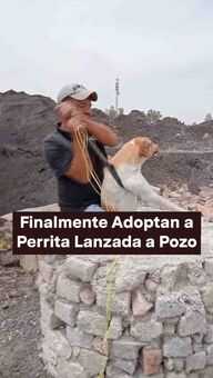 FOTO: Adoptan a Perrita Lanzada a Pozo