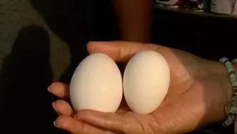 Virus en Gallinas Provoca Incremento en el Precio del Huevo