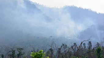 Controlan en 60% los Incendios Forestales en Acapulco, Guerrero