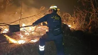 FOTO: Incendios Forestales en Acapulco
