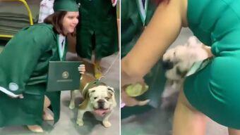Se Toma Foto Con un Perro en su Graduación y le Muerde su Título