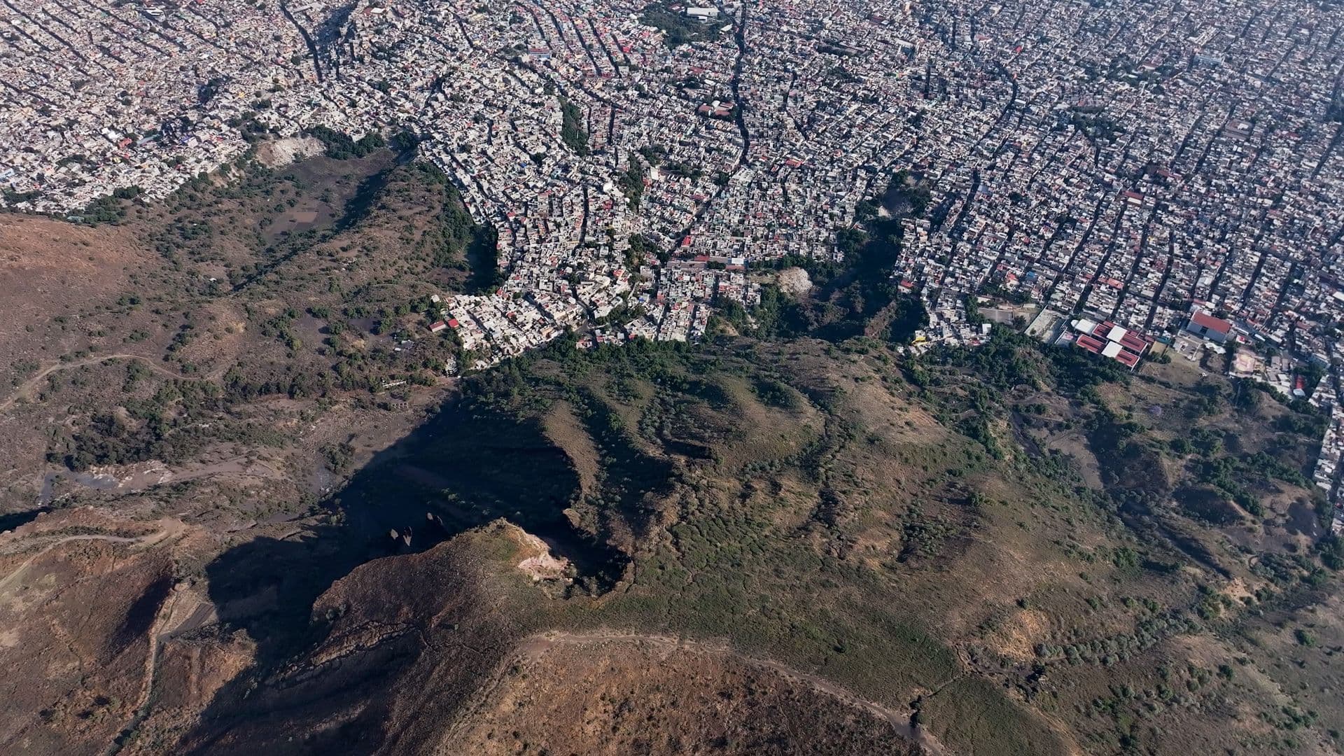 Inlandmex, no solo busca cambiar la narrativa de la periferia, también quiere sembrar vida.