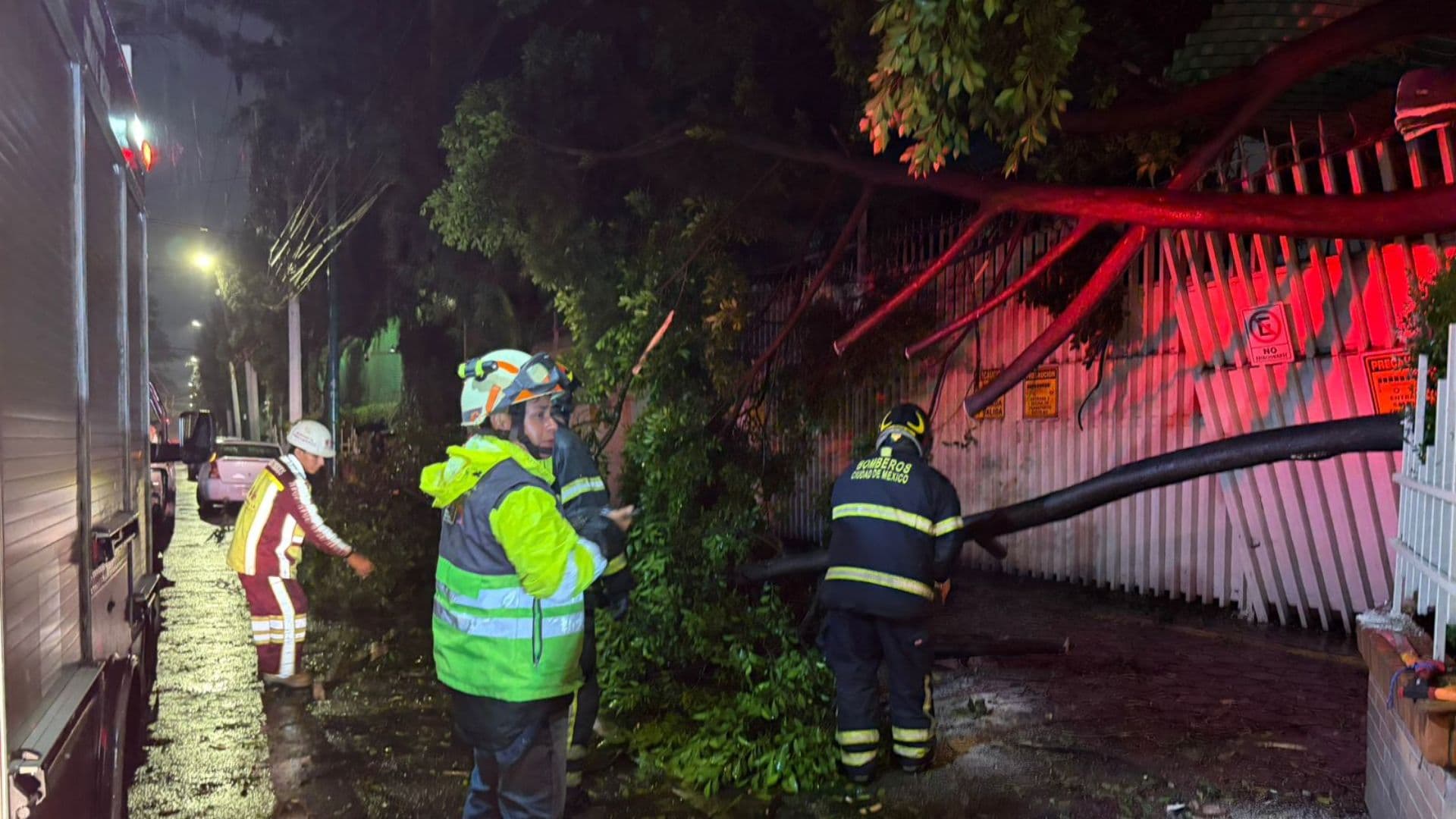 Elementos de Protección Civil de la CDMX retiran un árbol caído